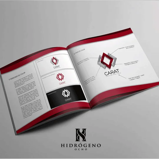 Manual de Identidad Corporativa — Carat
